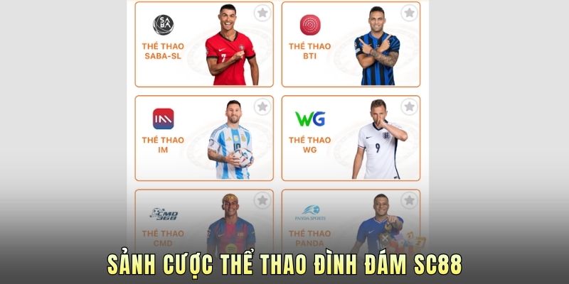Sảnh cược thể thao đình đám SC88.